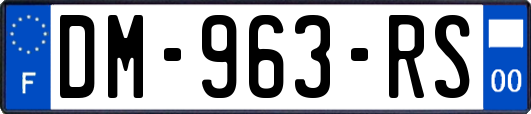 DM-963-RS