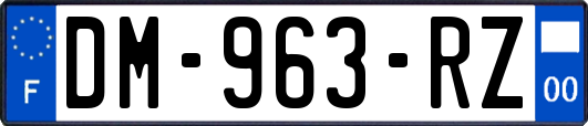 DM-963-RZ