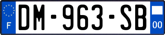 DM-963-SB