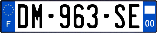 DM-963-SE