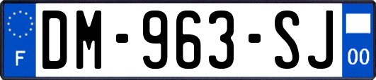 DM-963-SJ