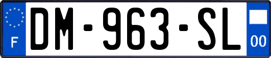 DM-963-SL