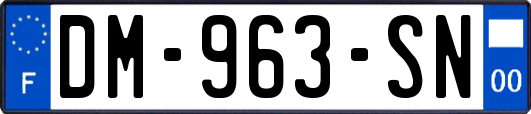 DM-963-SN