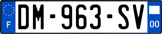 DM-963-SV