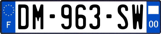 DM-963-SW