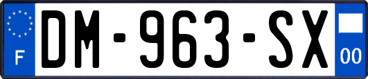 DM-963-SX