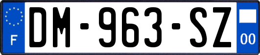 DM-963-SZ