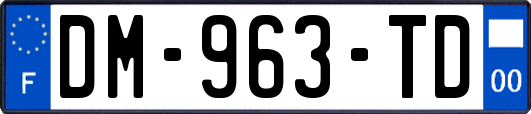 DM-963-TD