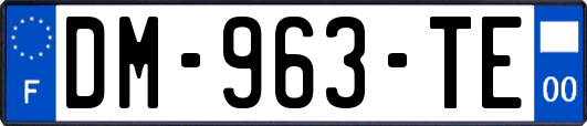 DM-963-TE