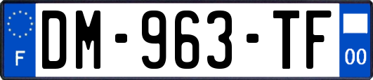 DM-963-TF