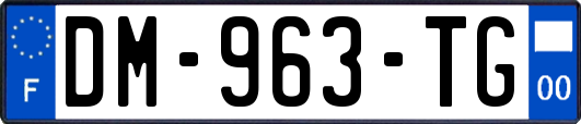 DM-963-TG