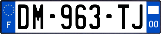 DM-963-TJ