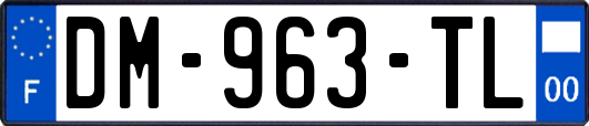 DM-963-TL