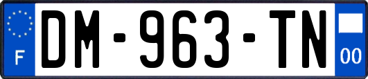 DM-963-TN