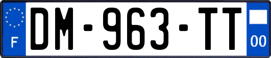 DM-963-TT