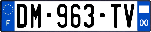 DM-963-TV