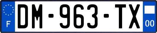 DM-963-TX