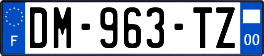 DM-963-TZ
