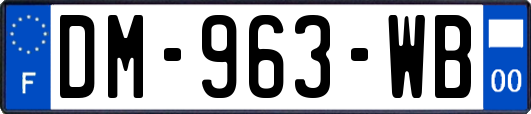 DM-963-WB