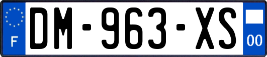 DM-963-XS