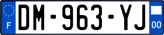 DM-963-YJ