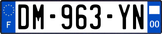 DM-963-YN