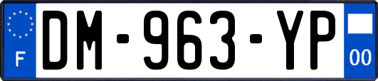 DM-963-YP