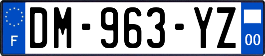 DM-963-YZ