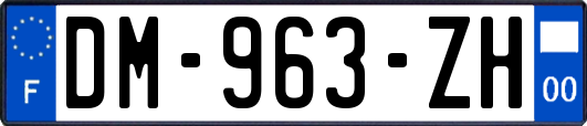 DM-963-ZH