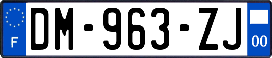 DM-963-ZJ