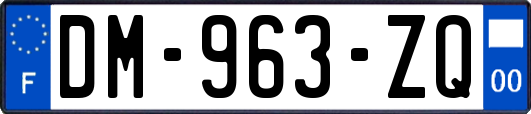 DM-963-ZQ