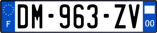 DM-963-ZV