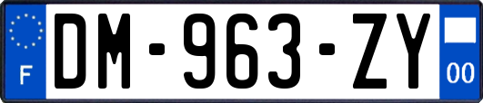 DM-963-ZY