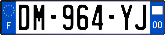 DM-964-YJ