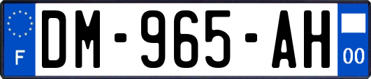 DM-965-AH