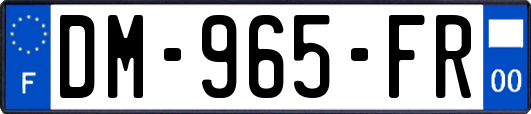 DM-965-FR