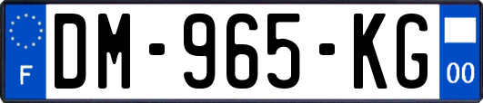 DM-965-KG