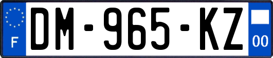 DM-965-KZ