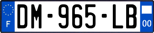 DM-965-LB