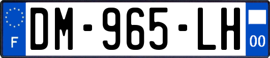 DM-965-LH