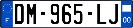 DM-965-LJ