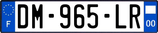 DM-965-LR