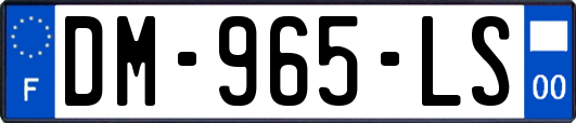 DM-965-LS