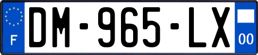 DM-965-LX