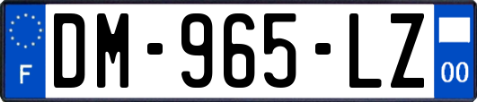 DM-965-LZ