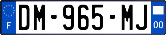 DM-965-MJ