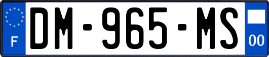 DM-965-MS