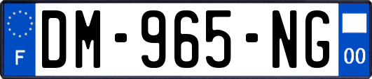 DM-965-NG
