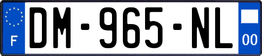 DM-965-NL