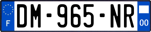 DM-965-NR